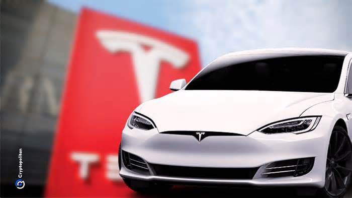 Tesla stock plunges after report says Cybertruck and Model Y production paused