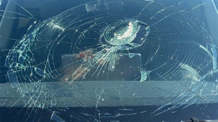 Video shows fish falling from the sky, smashing Tesla car windshield on Jersey Shore