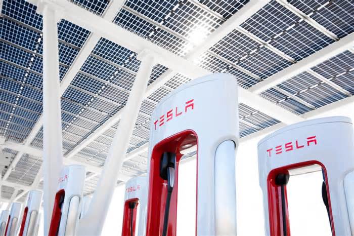 Bill Baruch Trims Tesla Stock, Buys Pair Of Energy Names: 'Power Is Going To Be A Big Thing With AI'