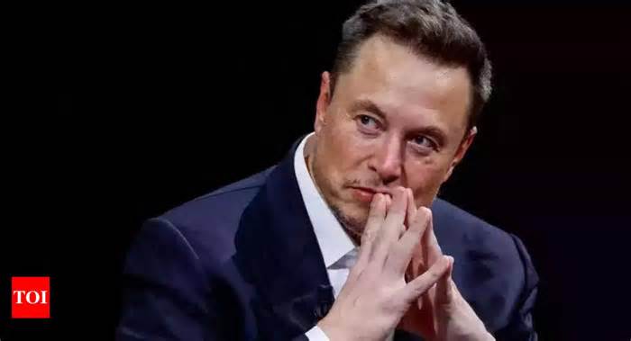 Elon Musk's net worth more than $250 billion: The visionary behind X, Tesla, and SpaceX