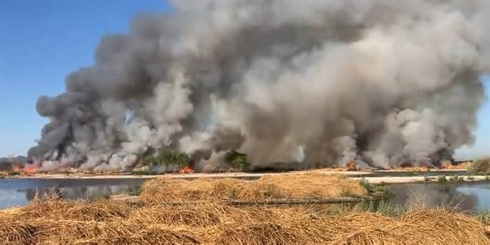 Seeing smoke in West Valley? Prescribed burn being conducted south of Tolleson