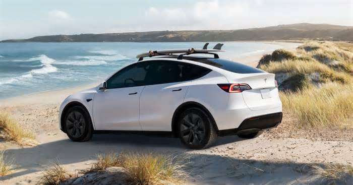 Which Model Y trim should you buy? Model Y trims compared