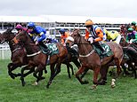 Your Cheltenham cheat sheet to beat the bookies on the final day of the Festival, Ryanair boss Michael O'Leary's big buy, and the ex-Premier League boss held up by Gemma Collins: CHELTENHAM BREAKFAST