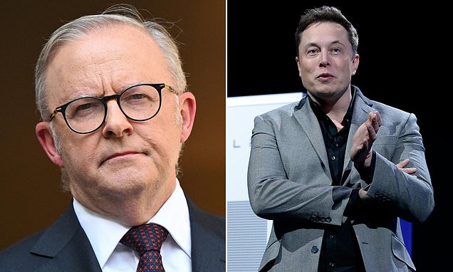 Albo slams Elon Musk-owned social media platform over 'abhorrent' feature