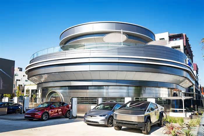 Elon Musk devotees camp out for hours to get a glimpse of new Tesla diner