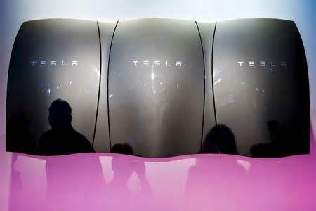 1 Stock to Buy, 1 Stock to Sell This Week: Tesla, Levi Strauss