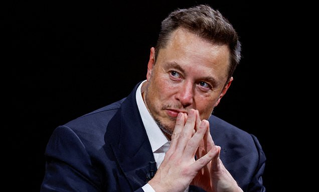 Elon Musk wades into political row over fatal stabbing of dog walker 'by Afghan who was granted asylum'