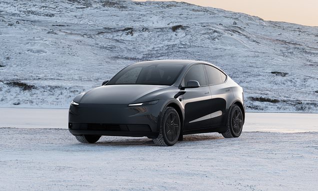 Tesla tries to claw customers back with a long range version of its best-selling Model Y SUV - but is it worth paying extra for?
