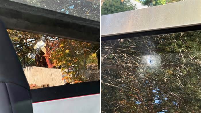 Cyber-Bullying Gone Too Far: Tesla Cybertruck Owner Gets Shot at While Driving