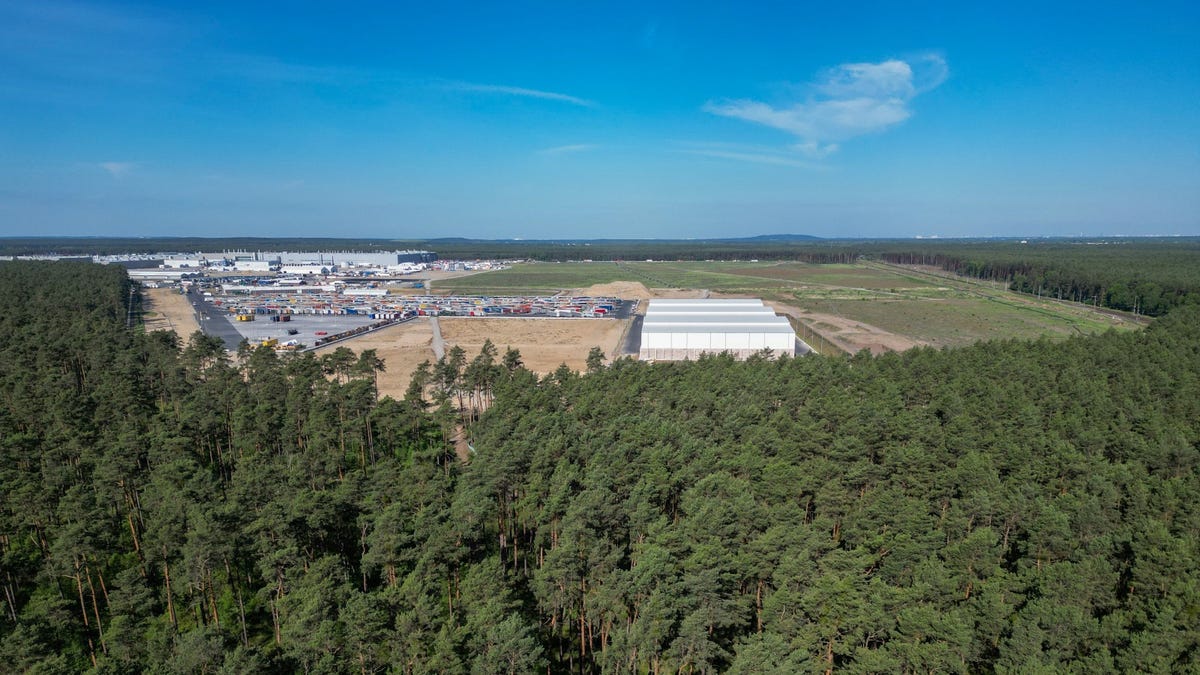 Tesla chopped down 500,000 trees for a factory