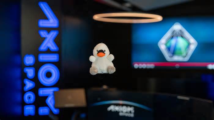 'Joy,' a plush baby swan, will launch with Axiom Mission-4 crew as zero-g indicator