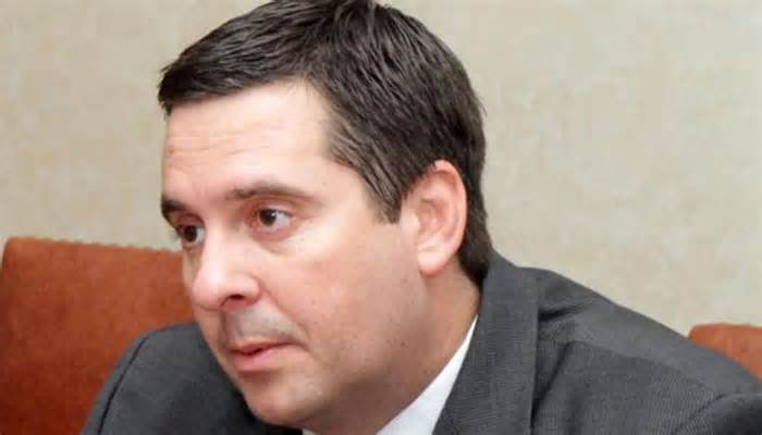 Devin Nunes loses court case against parody Twitter cow — again