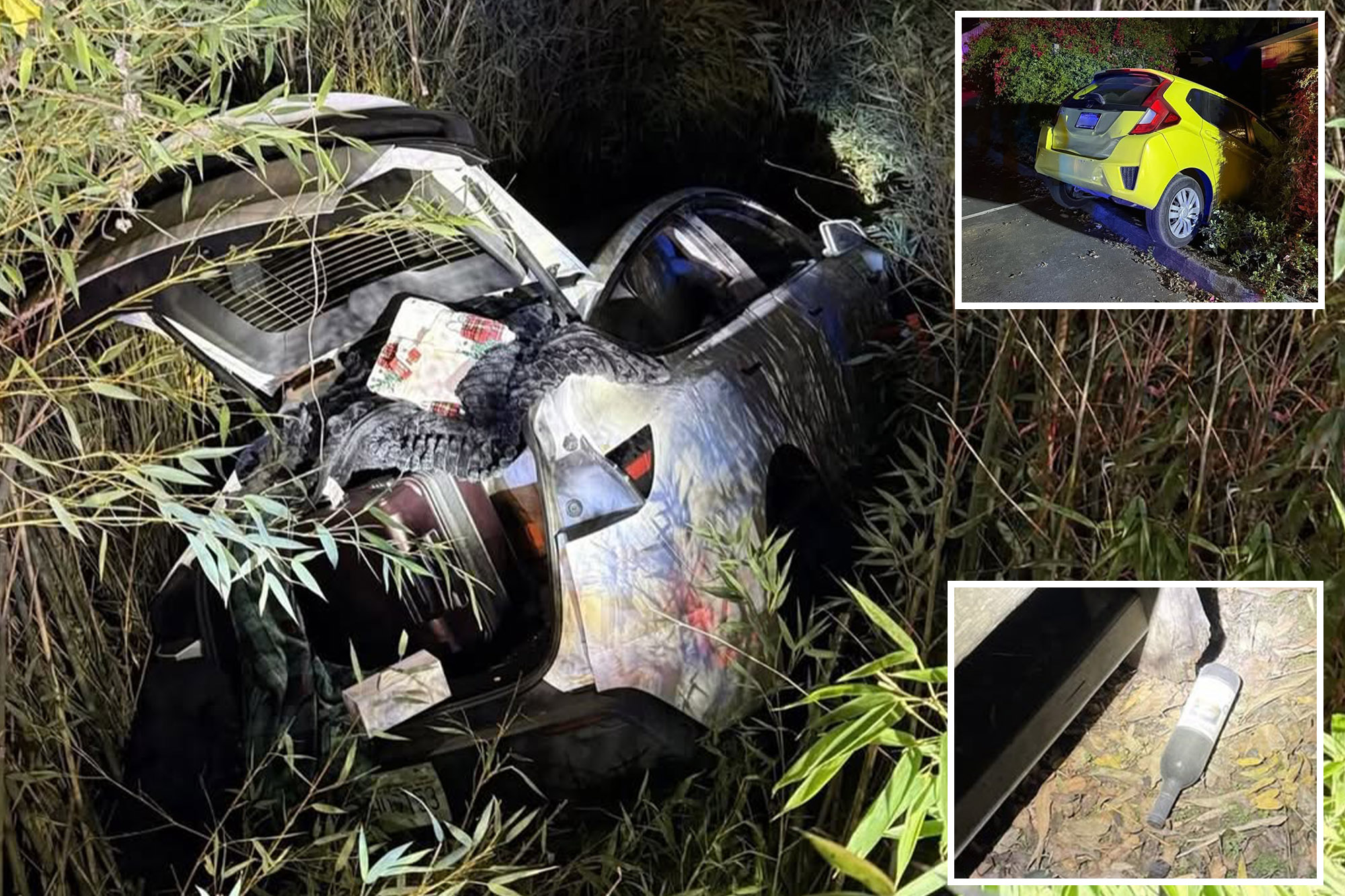 Mental health company founder allegedly starts fire, crashes Tesla in Bay Area winery meltdown