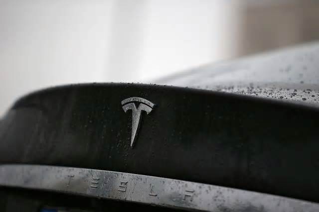 5 times Tesla went viral for a good reason