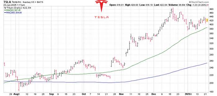 Tesla's Trump Card: Will Musk's Gamble Pay Off for TSLA Stock?