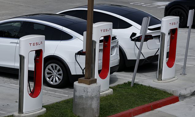 Shares in Elon Musk's Tesla go into reverse after sales bounce-back falls short