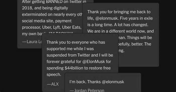 Twitter Barred Them. What Happened When Elon Musk Brought Them Back?