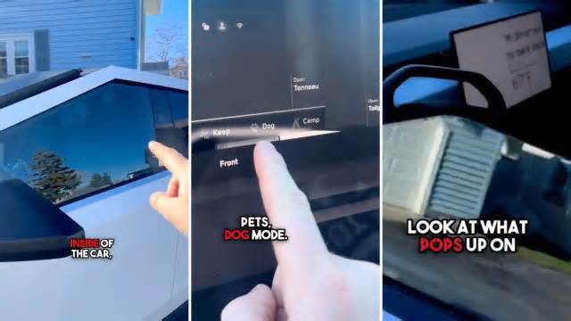 Driver shares unexpected perk of Tesla Cybertruck: 'Owning a Tesla with a pet has never been easier'