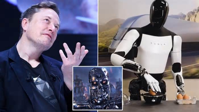 Elon Musk forecasts a '10 to 20 per cent chance' of global disaster where humanity is annihilated by AI - but tells us to 'look on the bright side'