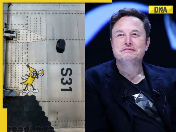 How 'Banana for Scale' meme found its way to Elon Musk's SpaceX starship rocket