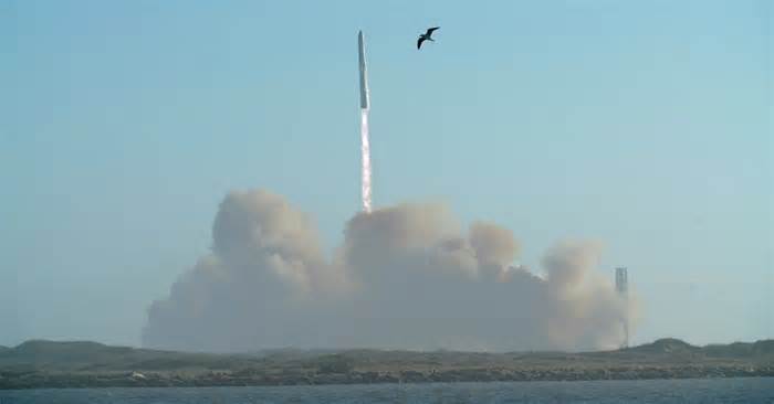 US FAA probes reports of SpaceX rocket debris landing in Turks and Caicos