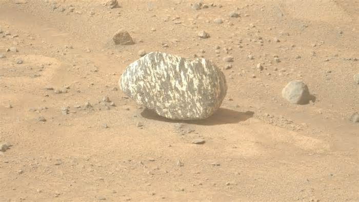 ‘Sign of exciting discoveries...?’: NASA’s Perseverance rover spots ‘Zebra Rock’ on Mars