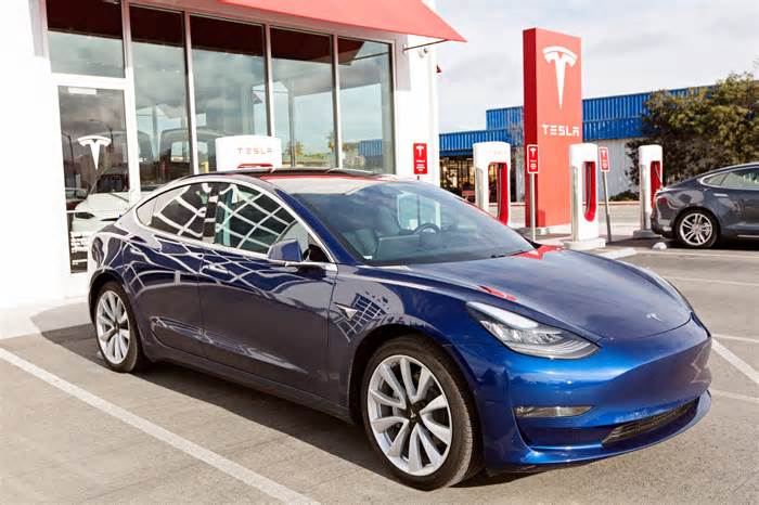 2024 Was a Bumpy Ride for Tesla Stock, Tariff-Driven 2025 Ahead?