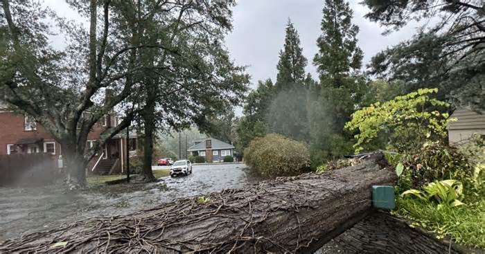 Charleston County EMS were deployed to the Upstate after Helene. Here's what they saw.