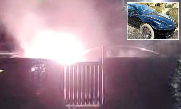 Moment £12,000 second-hand Tesla 'explodes' while parked on the side of the road