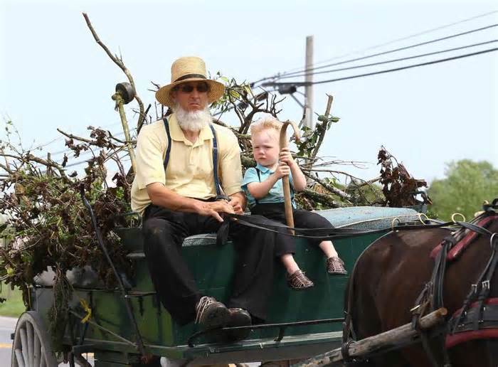 What an Amish farmer actually thinks of the Cybertruck