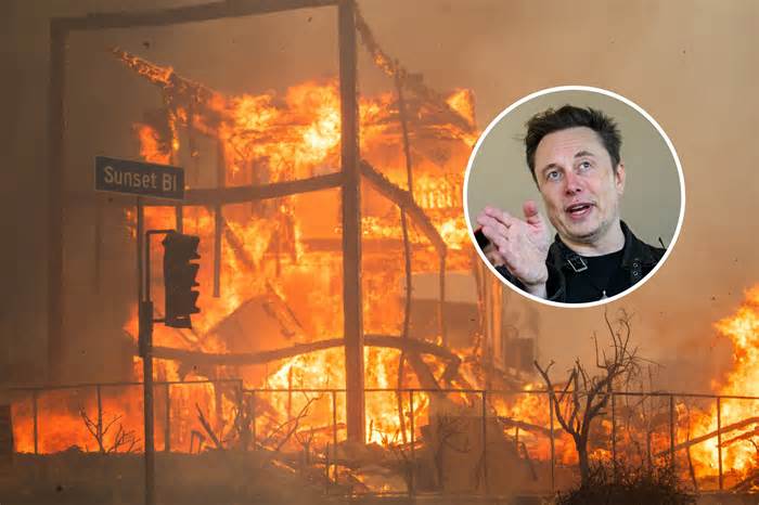 LA Fire: Elon Musk Offers Starlink Terminals to Areas Affected by Blaze