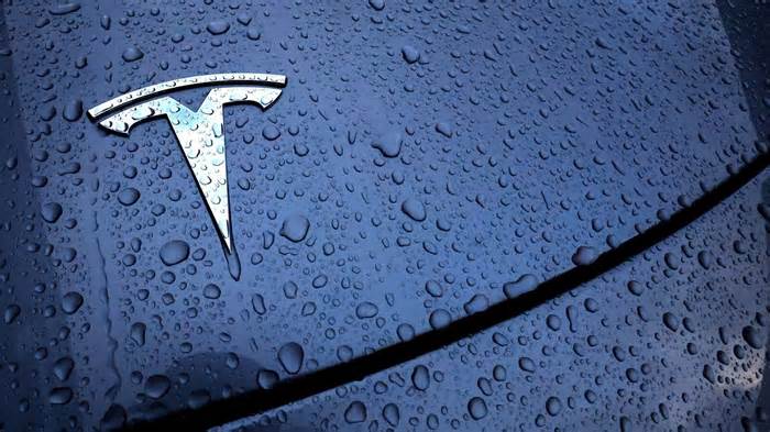 Tesla stock extends rally as Elon Musk-Donald Trump alliance fuels gains