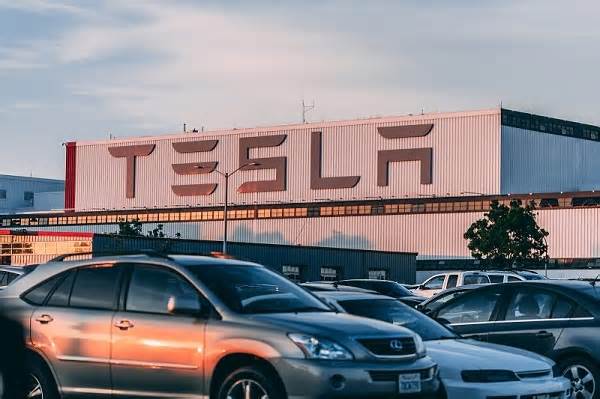 Analyst on Tesla (TSLA) CEO Musk’s $30,000 Robotaxi Claim: ‘These Numbers Are Bogies’