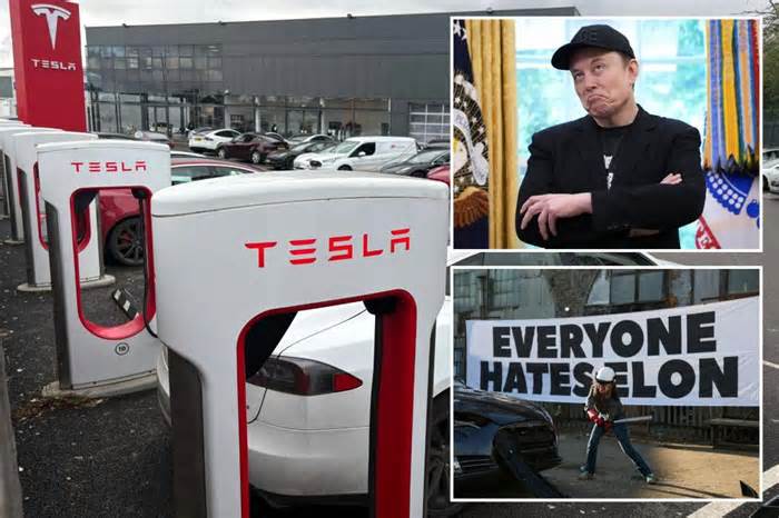 Elon Musk’s Tesla posts steepest sales decline in over a decade as EV demand slumps