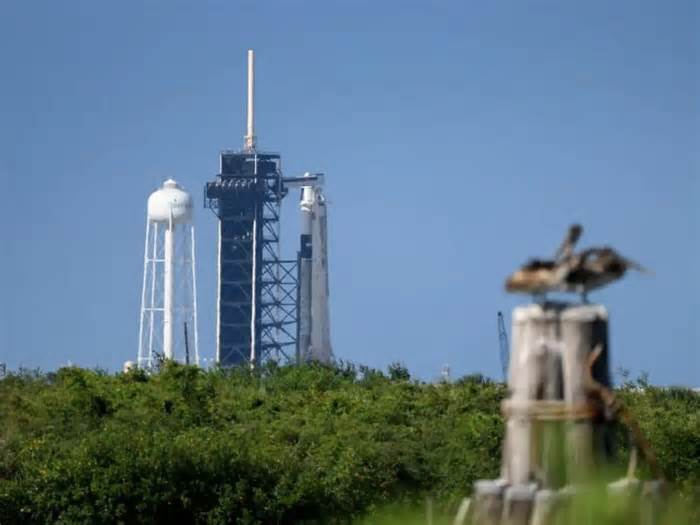 Elon Musk’s SpaceX Successfully Launches Falcon 9 To Deploy 23 Starlink Satellites