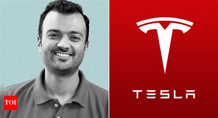 'I'm a Tesla fanboy': Dream11 CEO Harsh Jain wants 'dibs' on India launch; not the $1,000 refund