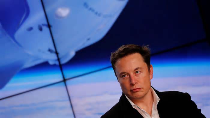 Trump names Musk to head government efficiency group. Well, it was Tesla chief's idea.