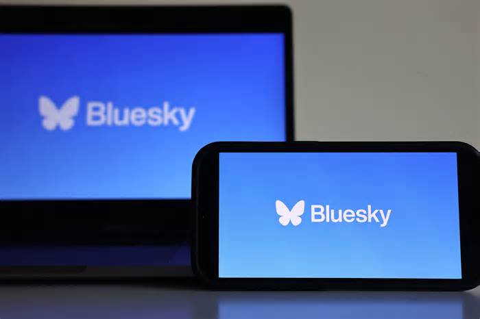 Bluesky goes down amid exodus from Elon Musk's X / Twitter