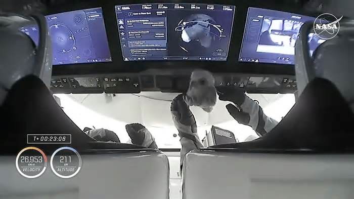 'Aurora' the baby falcon plush toy takes flight again as SpaceX Crew-9 zero-g indicator