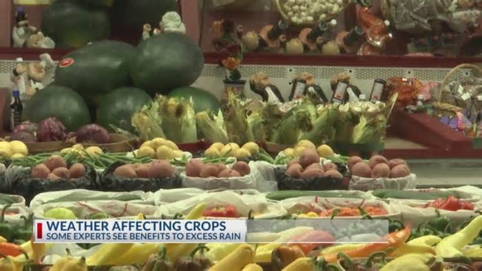 How a rainy summer is affecting East Texas crops