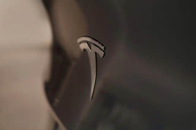 Tesla reaches key milestone despite turbulent times for company: 'Many congrats'