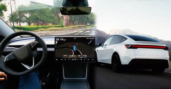 Tesla's Indian Debut: Why The Model Y Is Perfect For The Market