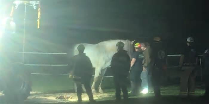 Bent Mountain Fire Department rescues horse trapped in mud