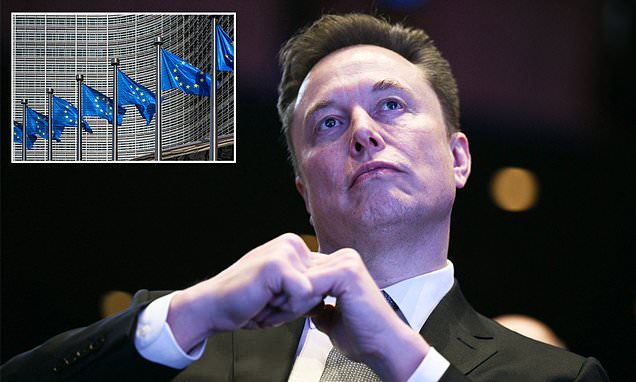 Elon Musk unleashes fury after X hit with $140million fine by the EU and says it 'should be abolished'