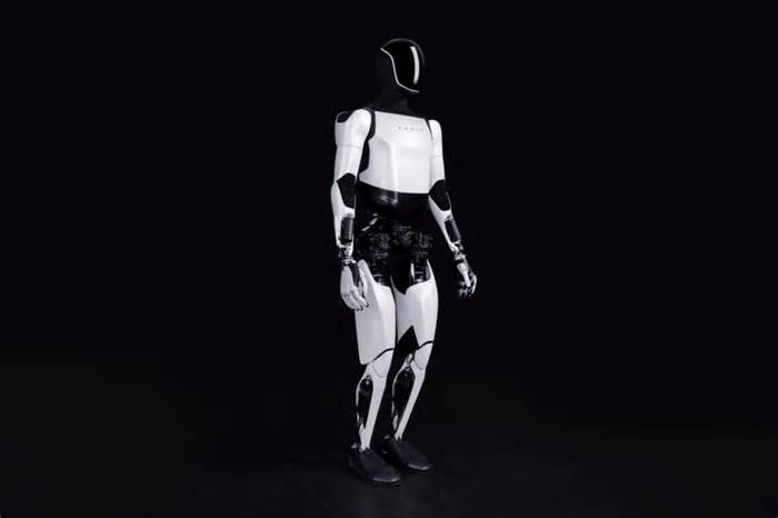 Tesla Robotaxi, Optimus and Dojo 2 Updates