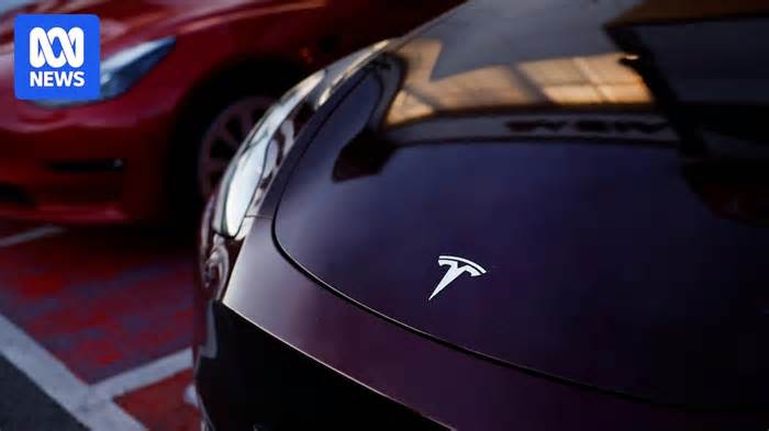 Australian Tesla owners seeking compensation as phantom braking leaves drivers 'completely terrified'