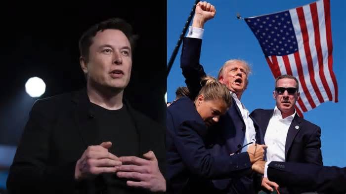 Could Elon Musk's endorsement of Donald Trump hurt Tesla stock?