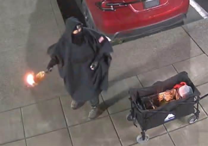 Federal magistrate grants pretrial release to Tesla firebombing suspect despite objections