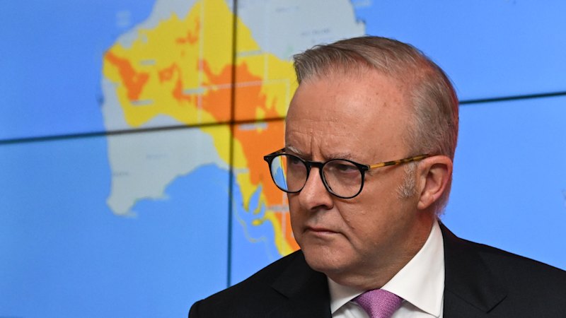 ‘Abhorrent’: PM slams Elon Musk’s X over sexually explicit images