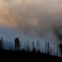 Sunlight worsens wildfire smoke pollution, study finds